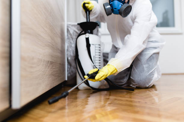 Best Commercial Pest Control Services  in Pecan Plantation, TX