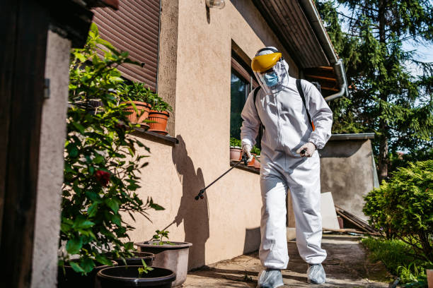 Best Emergency Pest Control  in Pecan Plantation, TX