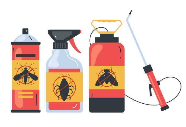 Trusted Pecan Plantation, TX Pest Control Experts