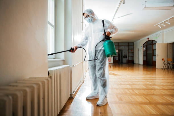 Best Flea Control Services  in Pecan Plantation, TX