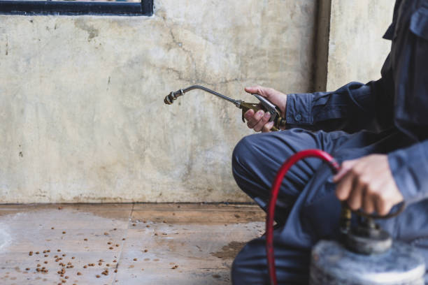 Best Pest Prevention Services  in Pecan Plantation, TX